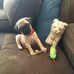 Daisy Neely - Facebook
