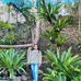 Daisy Neri Bobias - Facebook