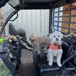 Daisy Newell - @ranchhand7575 - Instagram