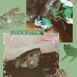 Daisy Newell - @indie___froggys - Instagram