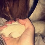 @daisynewman.x - Instagram