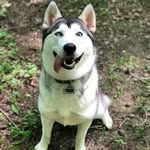 Daisy Mae Nicholas - @talesofdaisymae - Instagram
