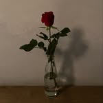 Daisy Nicholson - @daisyniamh05 - Instagram