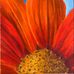 Daisy Nicks - Facebook
