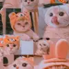Daisy nicol - @daisy.nicol2 - TikTok