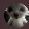 DAISYNICOL⭐️🌸 - @daisynicol - TikTok