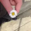 Daisy Nolan - @daisy.nolan1 - TikTok