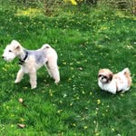 Daisy & Norman - @itsdaisyandnorman - Instagram