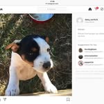 Daisy North - @daisy_north25 - Instagram