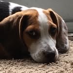 Daisy North - @_daisy_north_ - Instagram