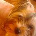 Daisy Nowak - Facebook