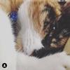 Daisy Boakes - @daisy_boakes - TikTok