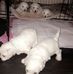 Daisy Oakes - Facebook