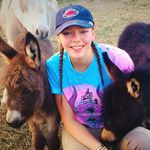 Clover, Daisy & Oakley - @the_donkss - Instagram