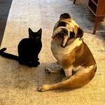 Daisy & Oakley - @daisy_duuuke - Instagram