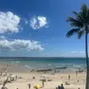 daisy - @daisy.obriennn - TikTok