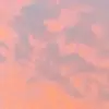 Daisy O Brien - @daisy.o.brien1 - TikTok