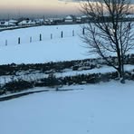Daisy Obrien - Facebook