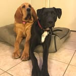 Daisy May and Odell Junior - @odi_dayz - Instagram