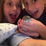 Daisy Odell Beckam Levine Jr. - @daisy_odell_beckam - Instagram