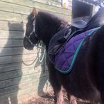 Daisy Lucy Maria O’Donnell - @your.localagribrunette - Instagram