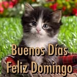 Daisy Oliveras - @daisy.oliveras.397 - Instagram