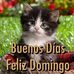 Daisy Oliveras - Facebook