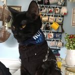 Daisy Olsen - @daisy_notsorry - Instagram