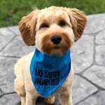 Daisy Olson - @daisythedoodle.15 - Instagram