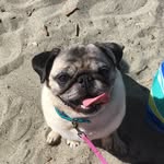 Daisy O'Neil - @daisy_duke_oneil - Instagram