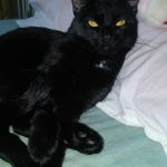 Alvinbaby - @daisyoquendo07 - Instagram