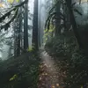 Amber Louise - @oregondaisy - TikTok
