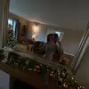 Daisy 🌺🌊 - @daisy.osborne1 - TikTok