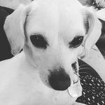 Daisy Osborne - @daisy_os - Instagram