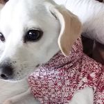 Daisy Osborne - @daisyosbo - Instagram