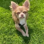 Daisy Bosmans - @daisy.bosmans1 - Instagram