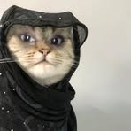 TaaZey Osman - Facebook