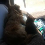Daisy osorio - @chunckymaster73 - Instagram