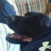 Daisy Ott - Facebook