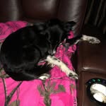 @daisy_may_overton - Instagram
