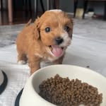 Daisy Özkaya 🌼 - @daisy_ozky - Instagram