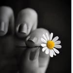 özlm - @daisyozlm - Instagram