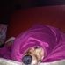 Princess Daisy Mae of OZ - Facebook