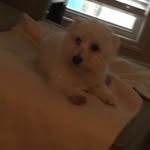 DaisyPace - @daisy.pace6 - Instagram