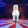 Daisy Pacheco - @daisy.pacheco35 - TikTok
