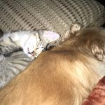 Daisy And Joe Padgett - @daisy_joepadgett - Instagram