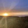 daisypainter - @daisypainter - TikTok