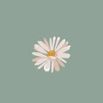 𝐩𝐚𝐢𝐧𝐭𝐞𝐫 𝐝𝐚𝐢𝐬𝐲 - @painterdaisyy - Instagram