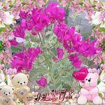 Daisy Pait - @paitdaisy - Instagram