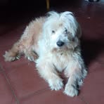Daisy Palacios - Facebook